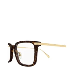 Optical Frame