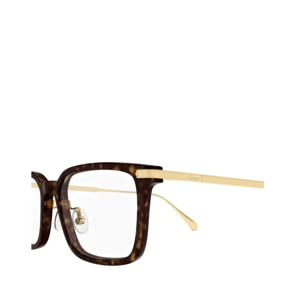 Optical Frame
