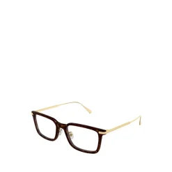 Optical Frame