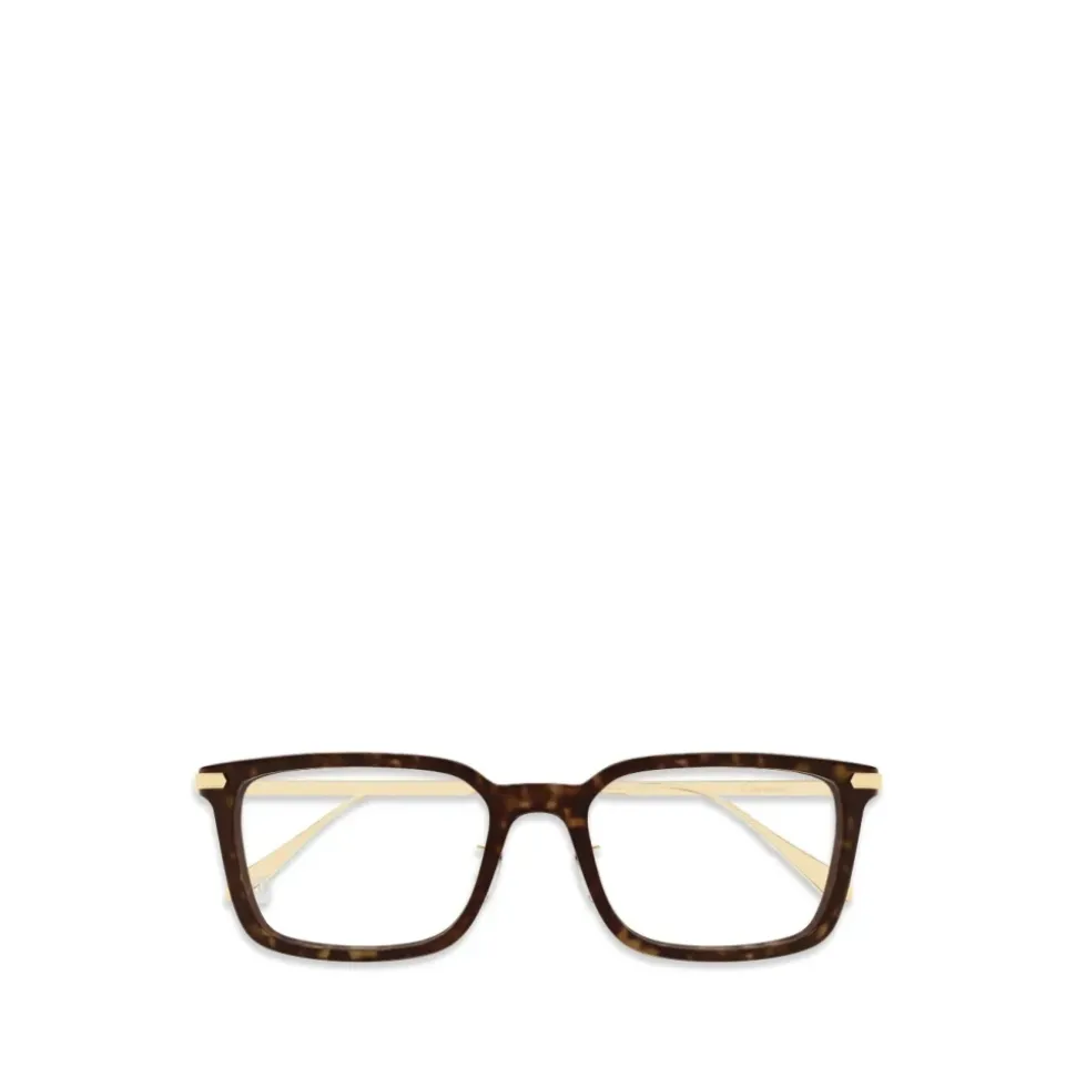 Optical Frame