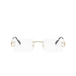 Optical Frame