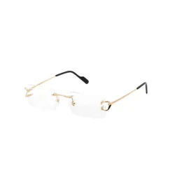 Optical Frame