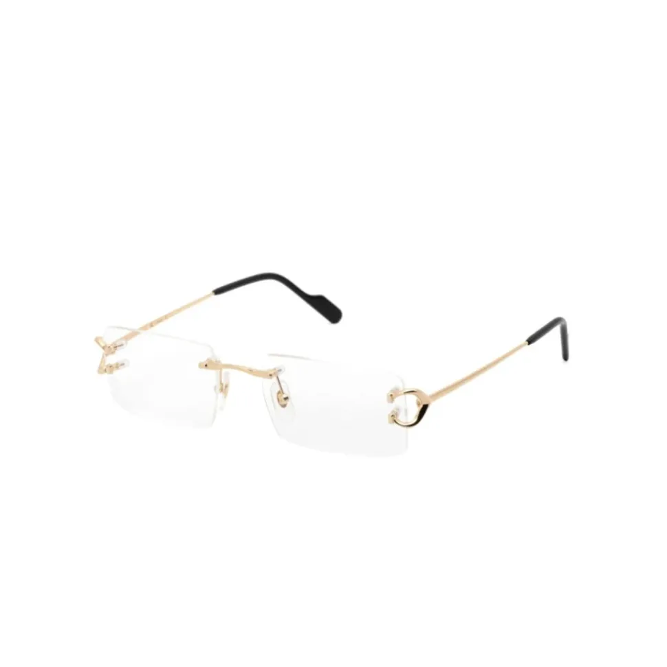 Optical Frame