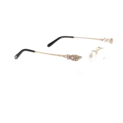 Optical Frame
