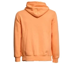 Polo Bear Hoodie