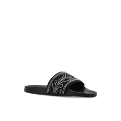 Pool Slides