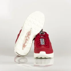 Red Blue Low Shoe Air Max