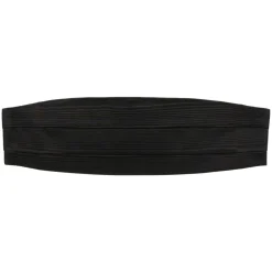 Silk Cummerbund
