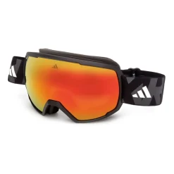 Ski Goggles