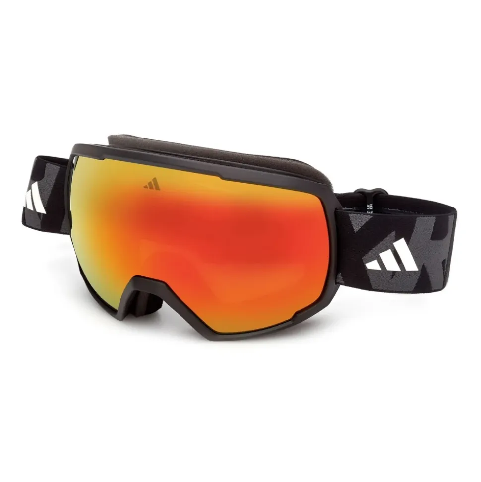 Ski Goggles