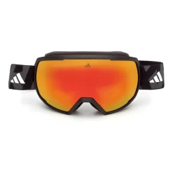 Ski Goggles