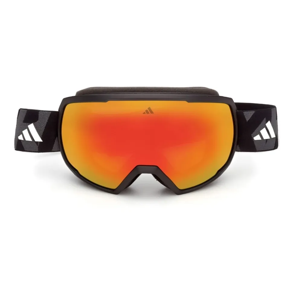 Ski Goggles