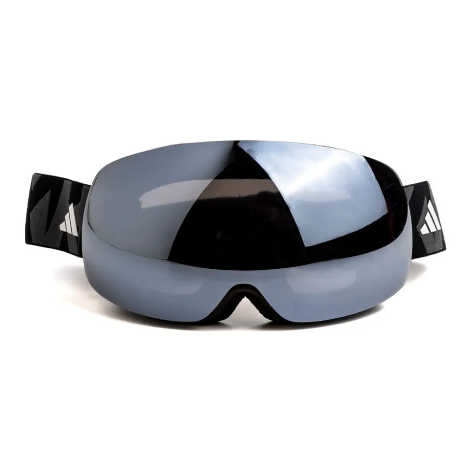 Ski Goggles