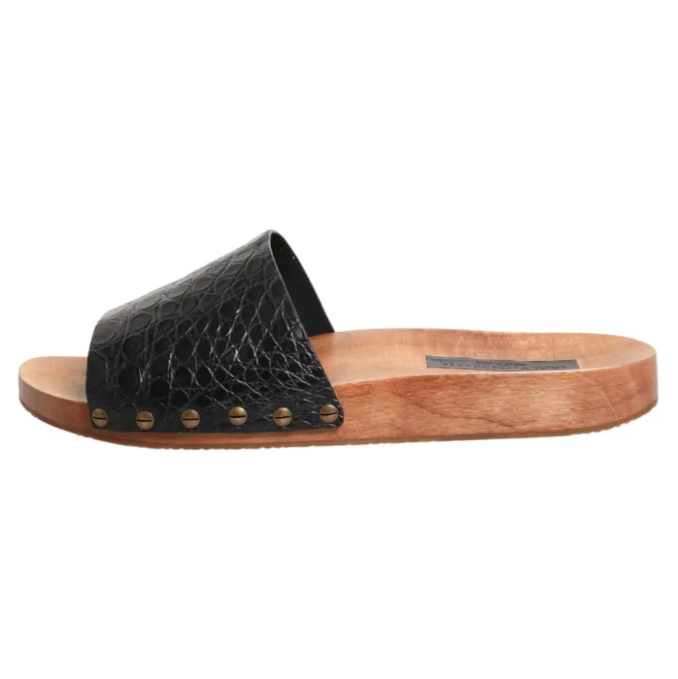 Slides