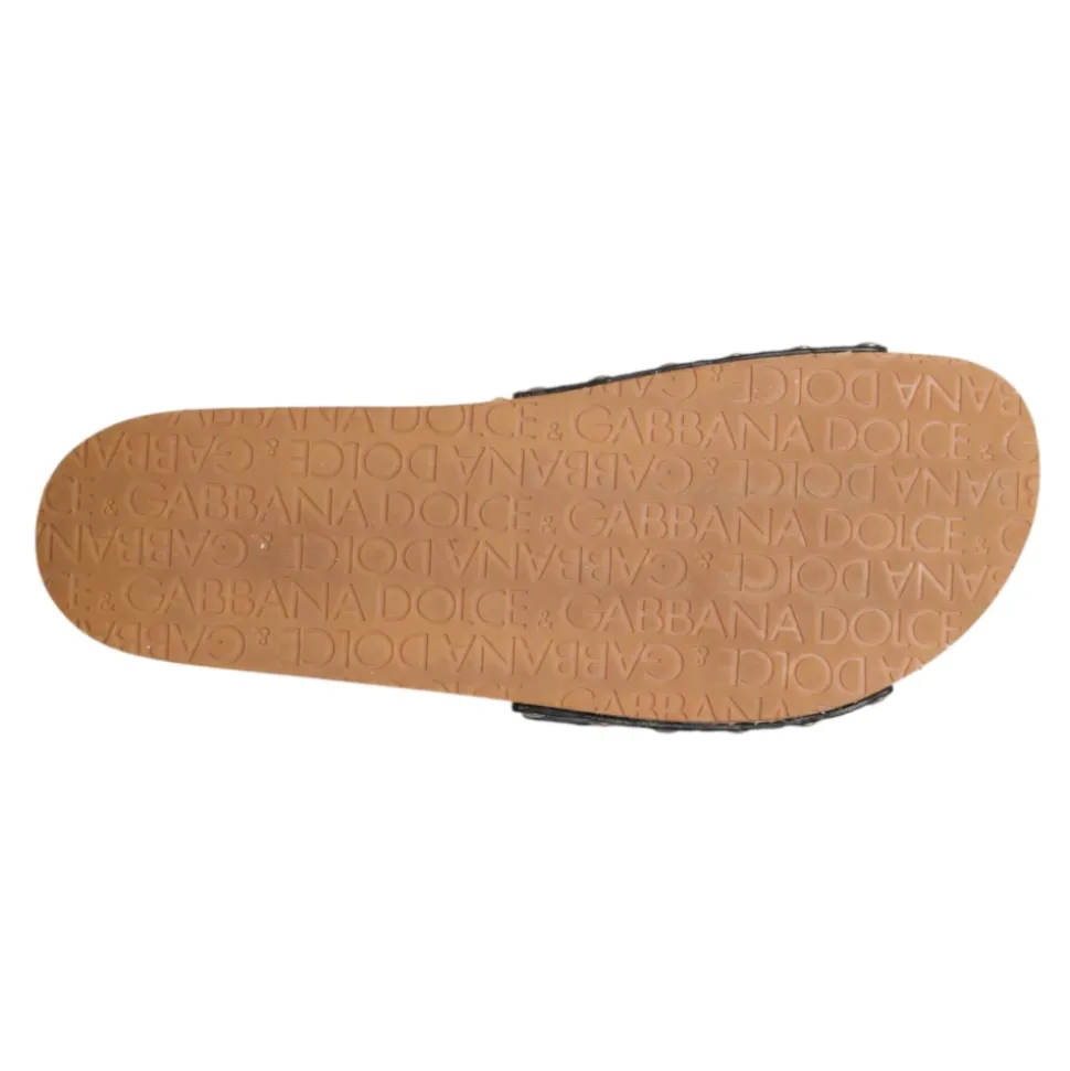 Slides