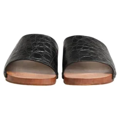 Slides