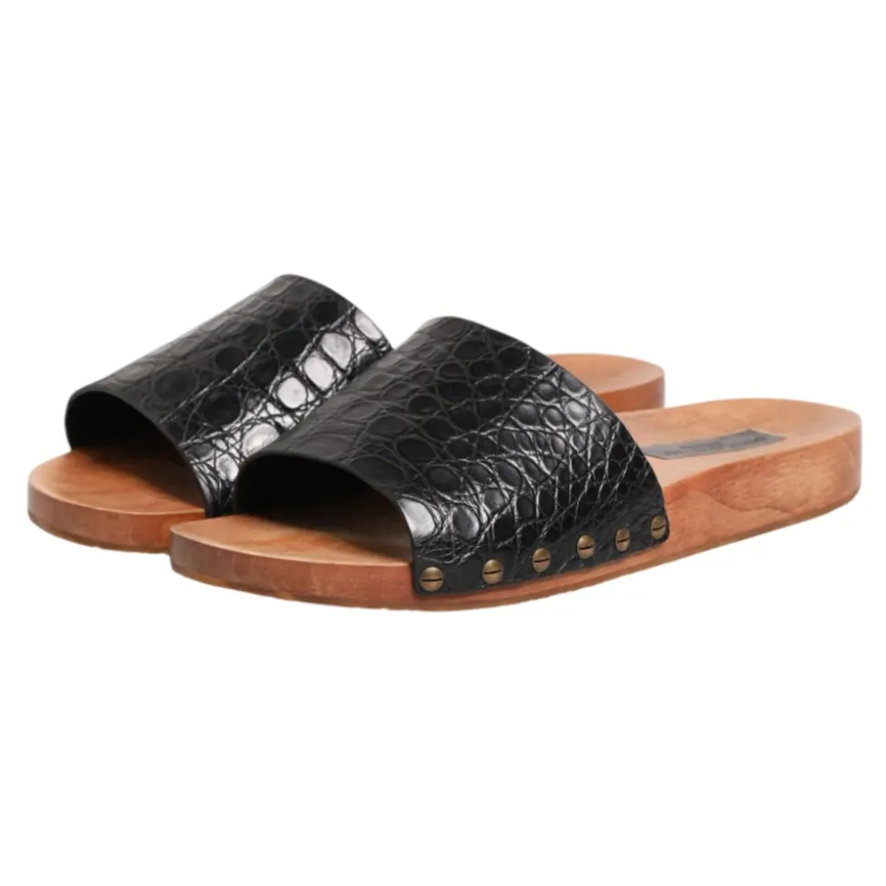 Slides