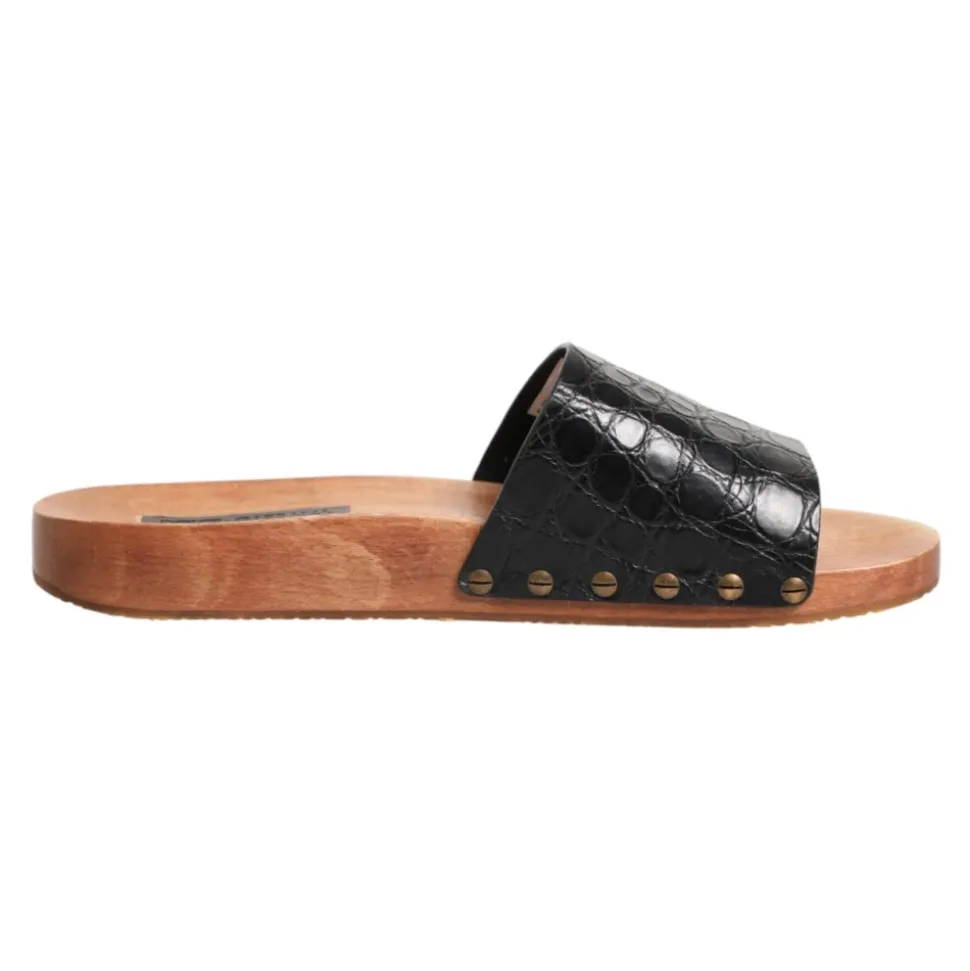Slides
