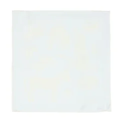 Square Silk Scarf