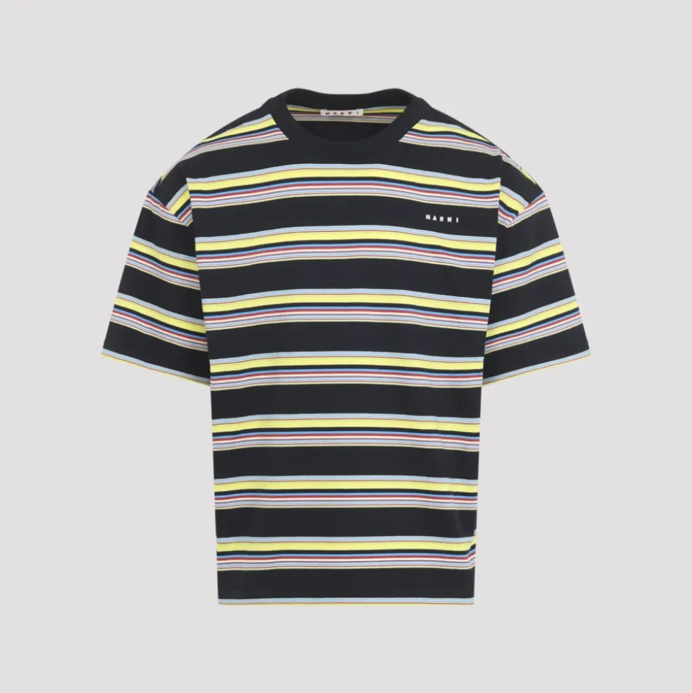 Striped Cotton T-Shirt