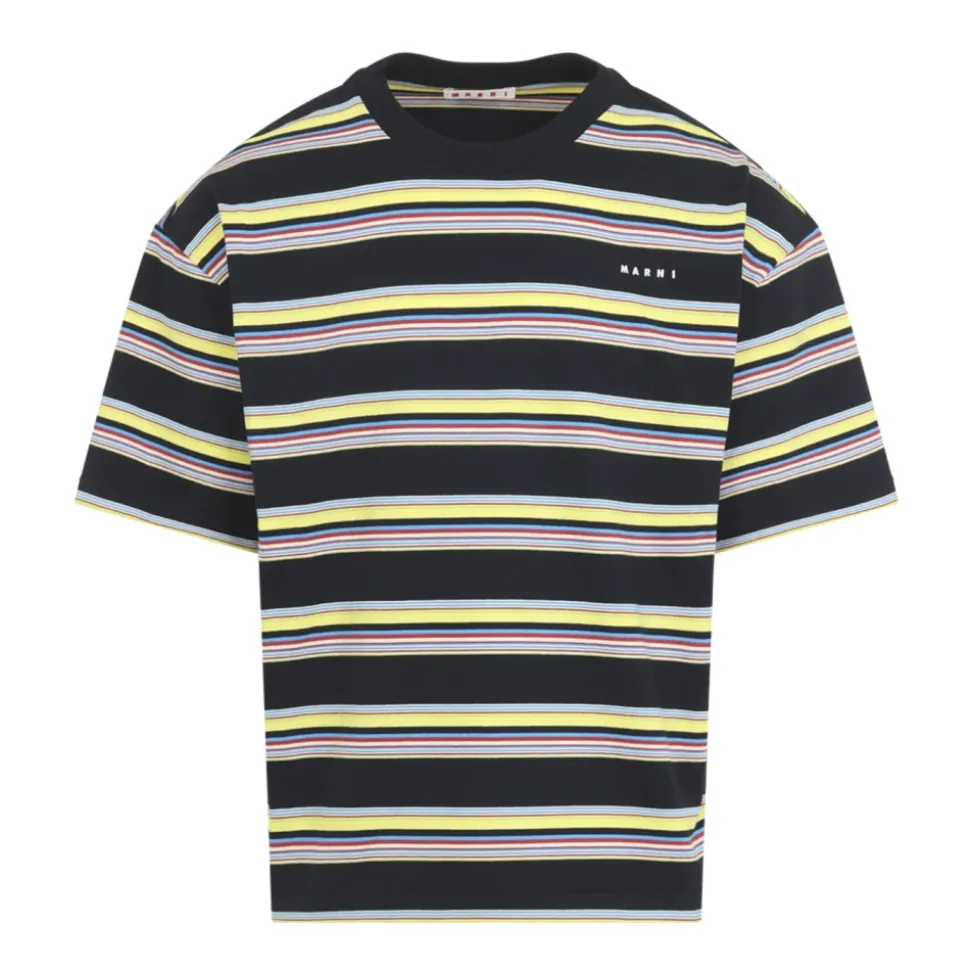 Striped Cotton T-Shirt