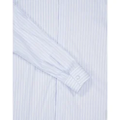 Striped Twill Classic Fit Shirt