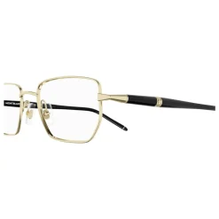 Stylish Eyeglasses