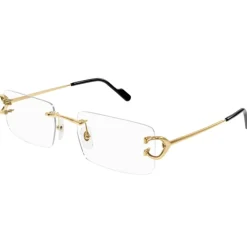 Stylish Eyewear for Fashion Enthusiasts