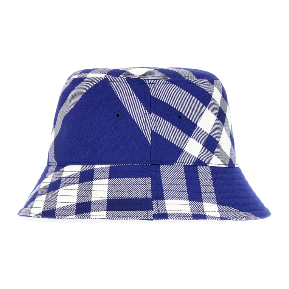 Stylish Hats Collection
