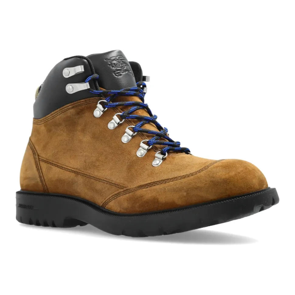 Suede ankle boots