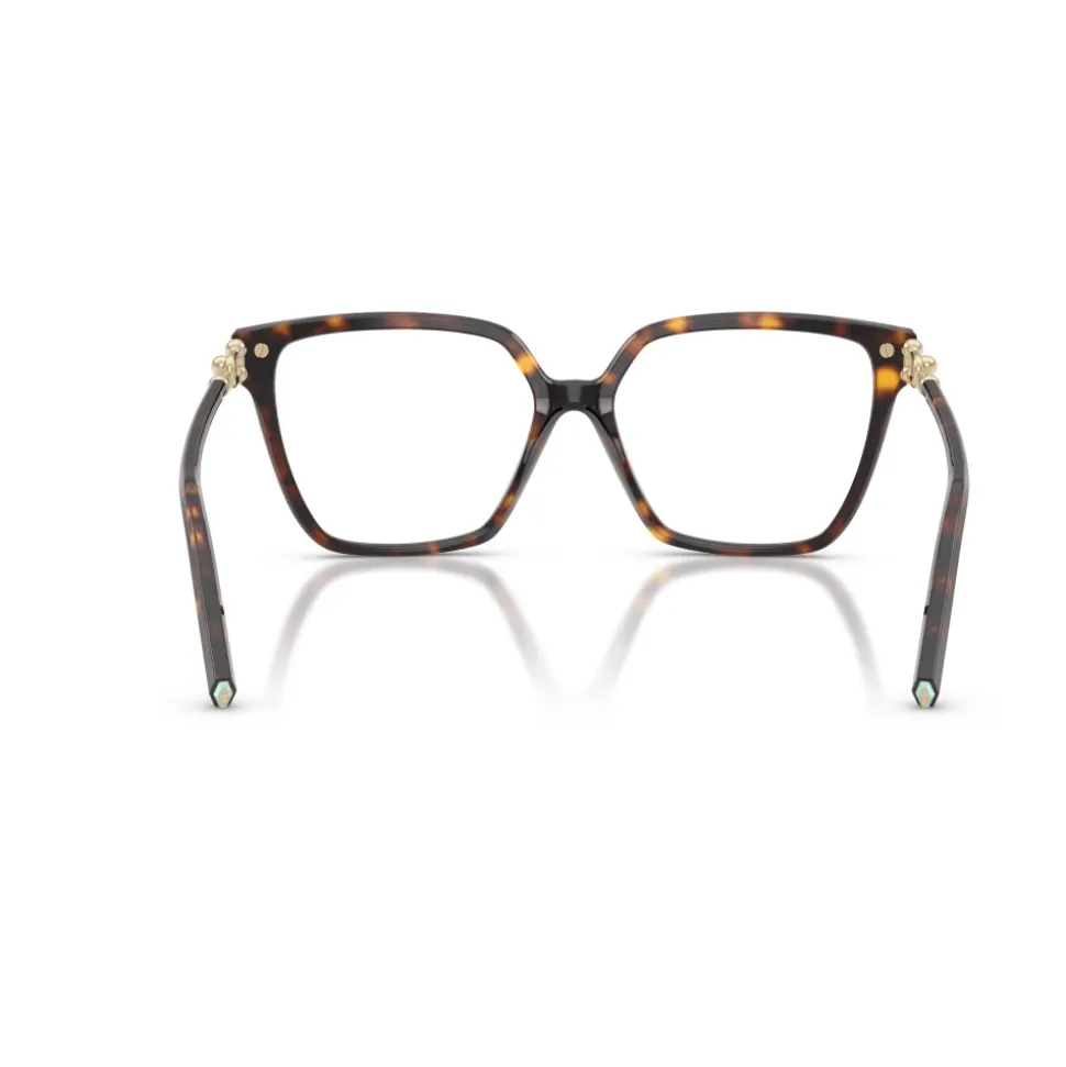 TF2290BU Optical Frame
