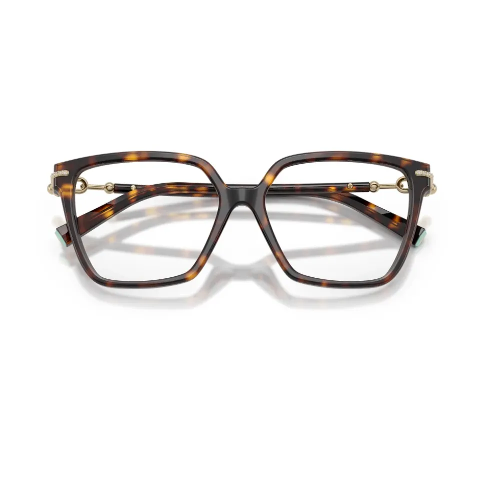 TF2290BU Optical Frame