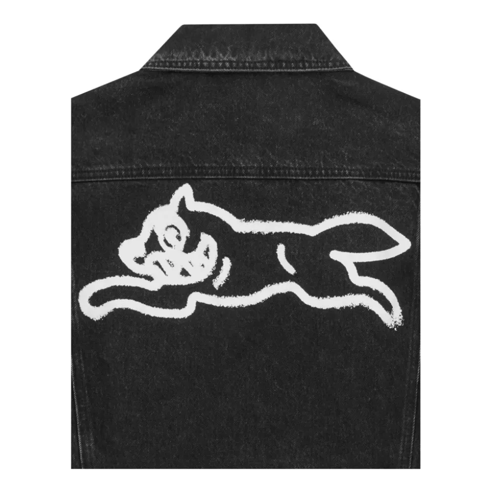 Trucker Spray Paint Dog Jacket
