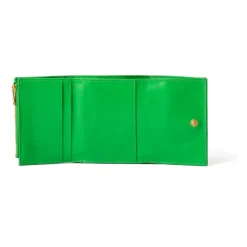 Wallet - Parakeet