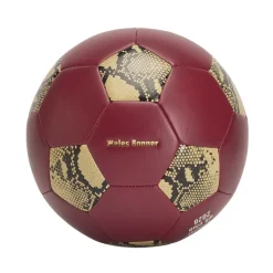 WB FTBL BALL