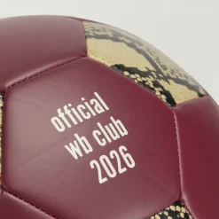 WB FTBL BALL