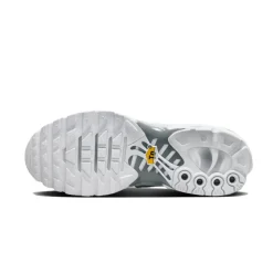 White Metallic Silver Air Max Plus